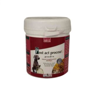 Пост Act, Process, 60 г