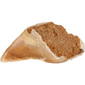 Trixie Dog Chew Clog x25
