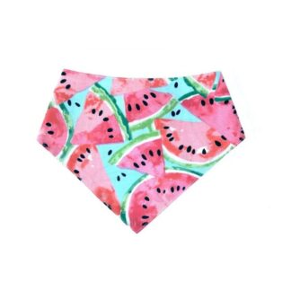 Arizona Hotdogs Bandana Арбузы/Фламинго L
