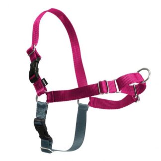 Easy Walk Harness XS малиновый