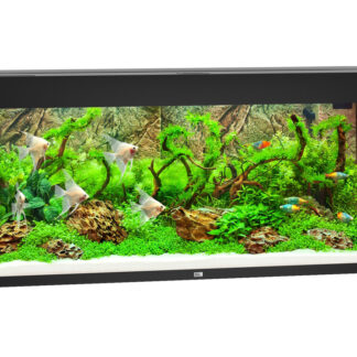 Rio 450 LED black