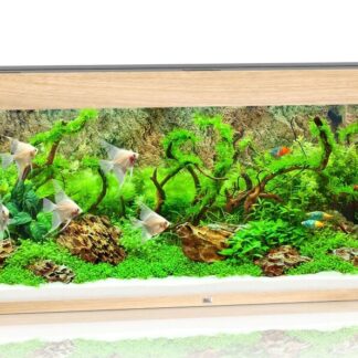 Rio 450 LED light wood