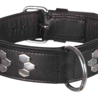 Active collar with studs, leather, XL: 65–75 cm/40 mm, black
