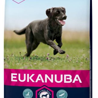 EUKANUBA dry dog food (kibble) for active adult large breed dogs that's Rich in fresh chicken 15 kg