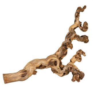 Grape vine, water-blasted, XL: 55–80 cm