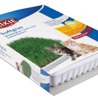 Soft grass, bowl/approx. 100 g