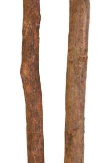 Set of perches, bark wood, 35 cm/ø 10–12 mm, 2 pcs.