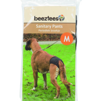 Beeztees koera jooksuajapüksid M must