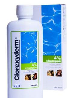 CHLOREXYDERM SHAMPOO 4% 250ML