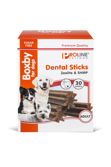Boxby maius koerale Dental Sticks 600g 5XN6