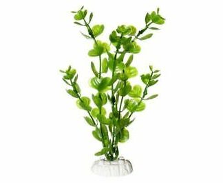 Akv.kunsttaim Karlie Moneywort 20cm