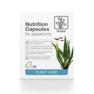 Nutrition Capsules