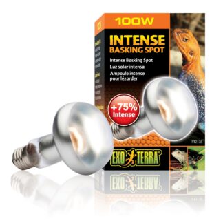 Rep.Bsking Spot Lamp 100W,80mm-V
