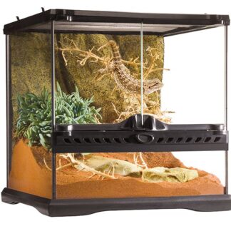EX All Glass Terrarium, H -30cm-V