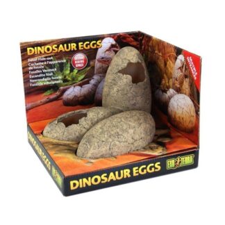 EX Dinosaur Eggs Fossil Hide Out