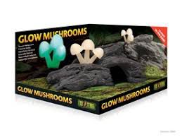 EX Glow Mushrooms Natural Hide Out