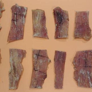 Neck tendon 12cm, 100g