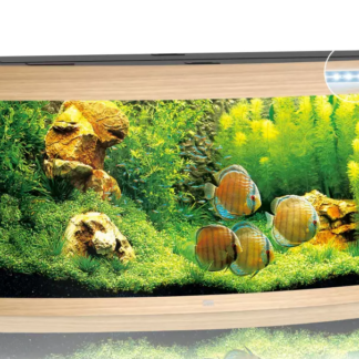 Vision 180 LED light wood