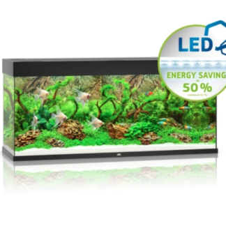 Rio 240 LED black