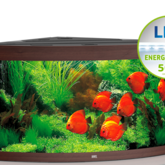 Trigon 190 LED dark wood