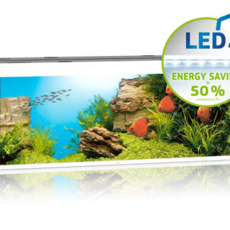 Rio 240 LED white