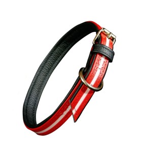 JULIUS K9® Świecąca obroża dla psa IDC® LUMINO czerwona