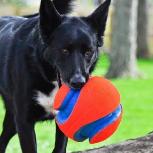 CHUCKIT! KICK FETCH LARGE - duża piłka dla psa