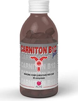 CARNITON B 12 80 COMPRESSE