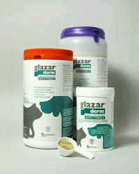 GLAZARDERM FLACONE 500 G