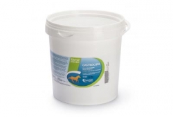 GASTROCURE SECCHIELLO 2,6 KG