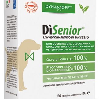DISENIOR 20 BUSTINE 10 G