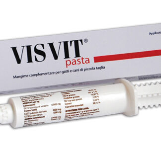 VISVIT PASTA OS SIRINGA 15 G