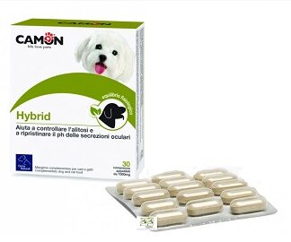 HYBRID 30 COMPRESSE
