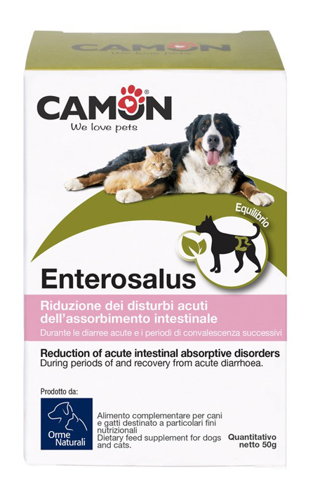 ENTEROSALUS 20 BUSTINE 2,5 G