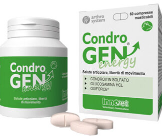 CONDROGEN ENERGY 60 COMPRESSE MASTICABILI