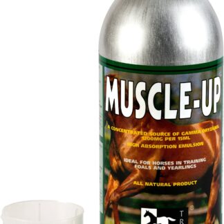 TRM Muscle Up