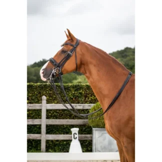 Bride Dy'on NEC Muserolle Large Cuir Vernis Dressage