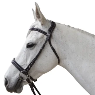 Bridon Canter Bitless Evolution