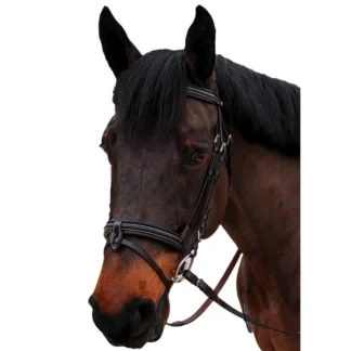 Bridon Canter Bombé 1/2 Rond Nino