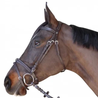 Bridon Canter Plat Doublé