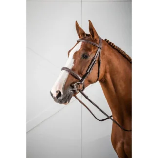 Bridon Dy'on Muserolle Française Hunter