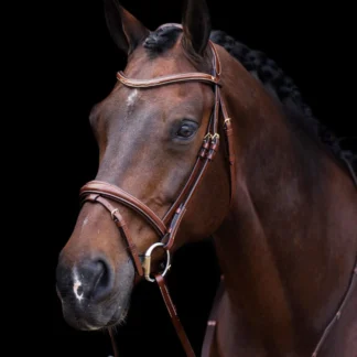 Bridon HV Polo Legacy