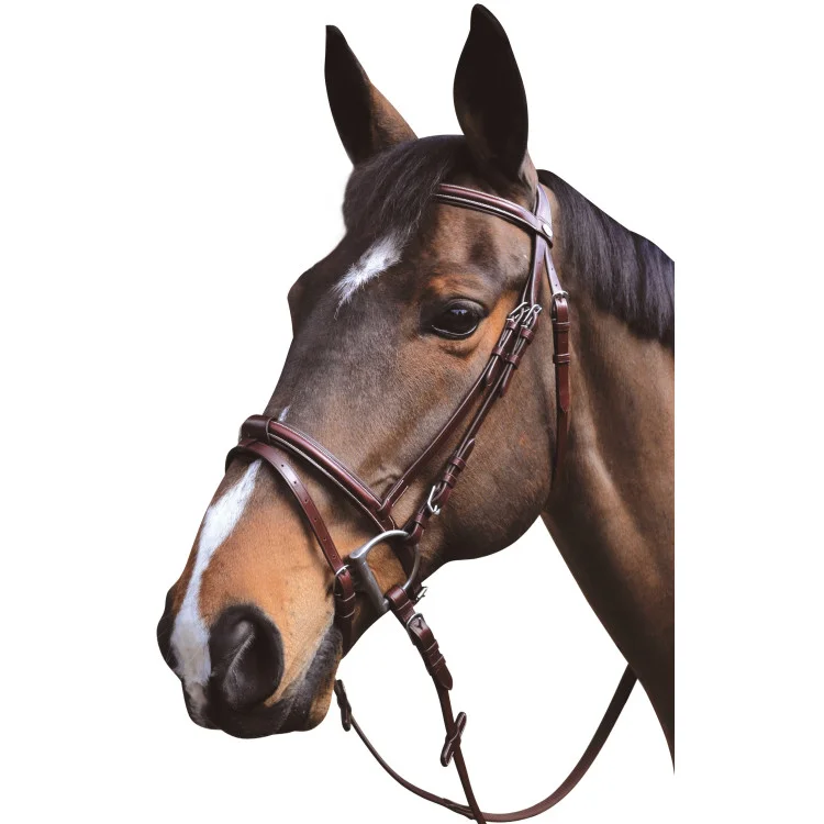 Bridon Lexington Austin combiné