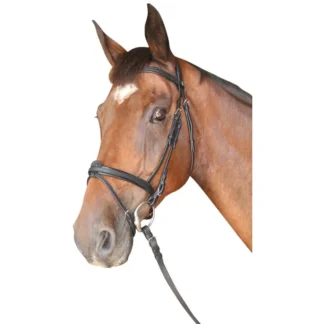 Bridon Privilège Equitation Cabourg combiné