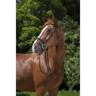 Bridon Riding World "Muserolle Combinée"