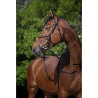 Bridon Riding World "Muserolle Croisée"