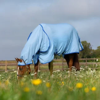 Chemise anti-mouches Horseware Amigo Ripstop Hoody