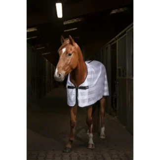 Chemise Equithème "Mesh"