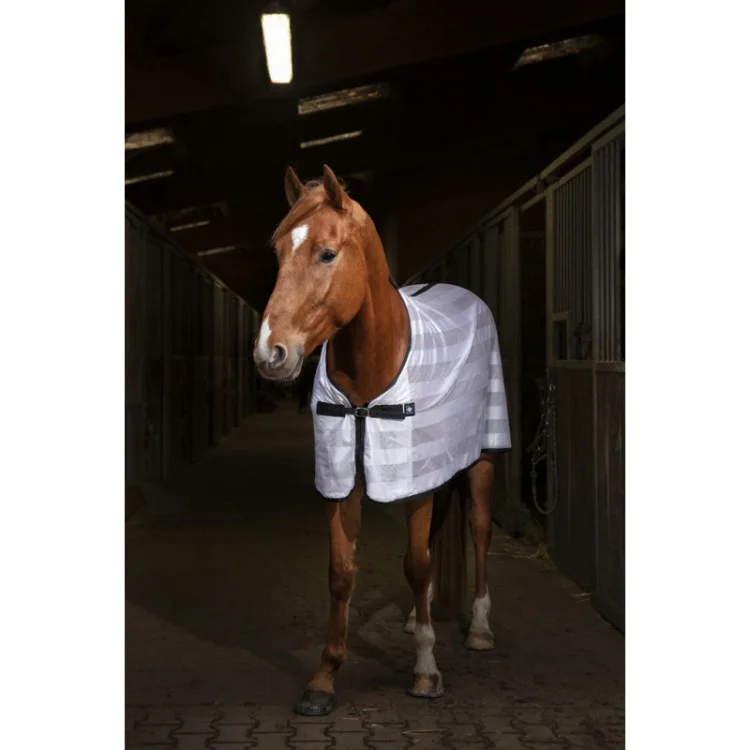 Chemise Equithème "Mesh"