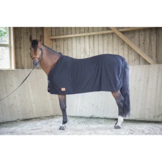 Chemise Paddock Séchante